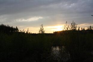 IMG_7466