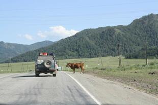 IMG_8840