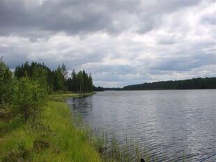 karel2007 211