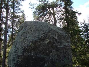 karel2007 271