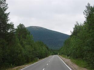 karel2007 309