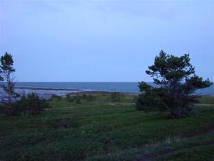 karel2007 332