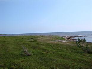 karel2007 348