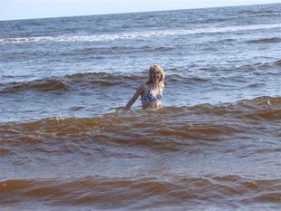 karel2007 389