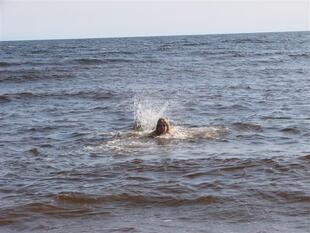 karel2007 392