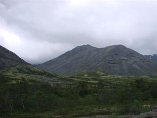 karel2007 528