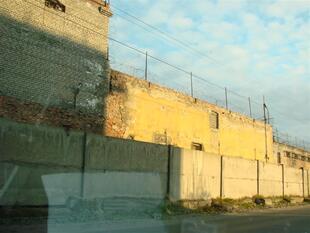 lovoz08 202