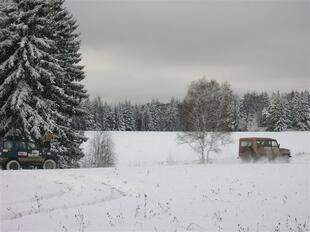 razved 079