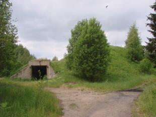 prokatsenokos 203