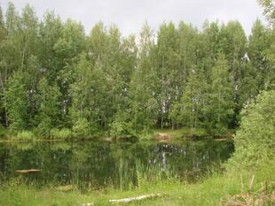 prokatsenokos 204