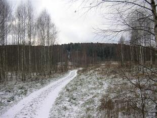 razved 011
