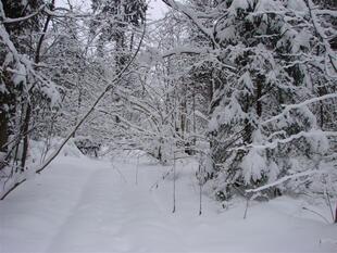 070209 027