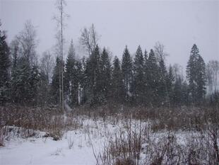 241206 022