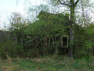 DSC01310