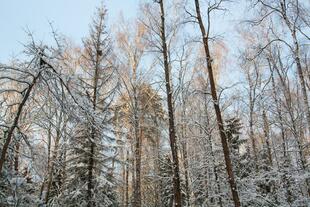 IMG_0794
